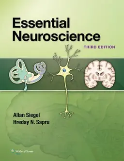 Essential neuroscience - Begagnad bok
